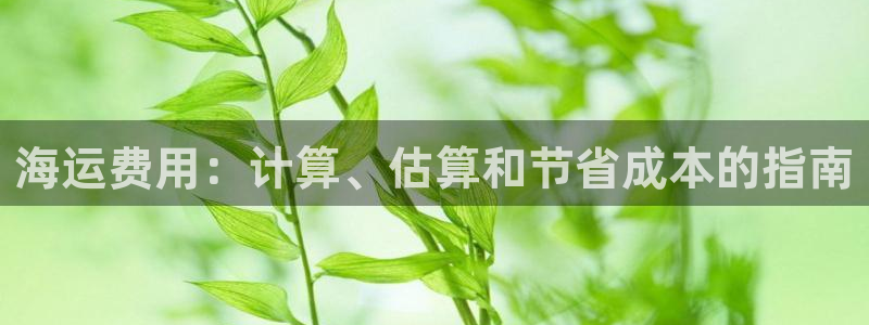 公海赌博为什么不犯法