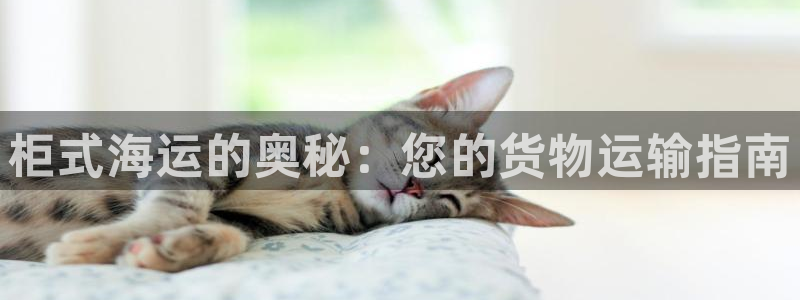 欢迎来公海欢迎来赌船!