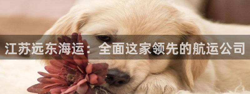 公海 赌船710手机版下载