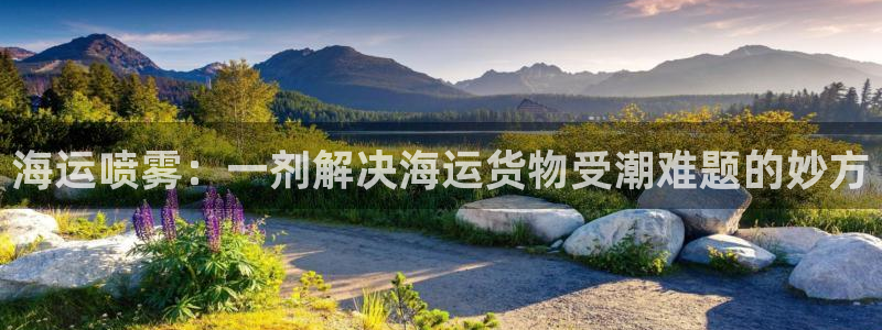 公海赌赌船官网710忘记账号了