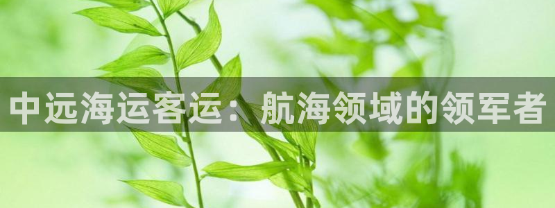 公海赌赌船利息宝是真的吗