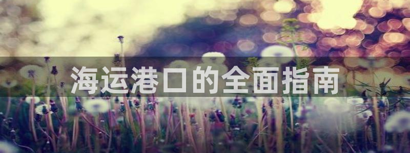 公海赌博为什么不犯法