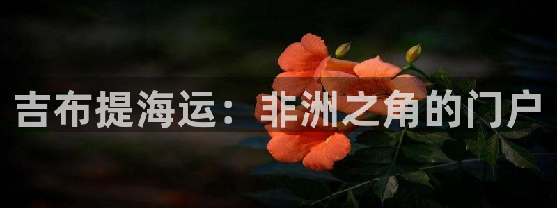 公海赌钱公安会抓吗