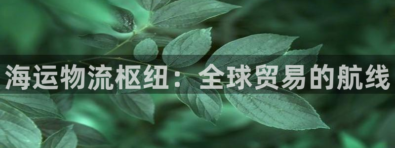 公海赌赌船官网jc710