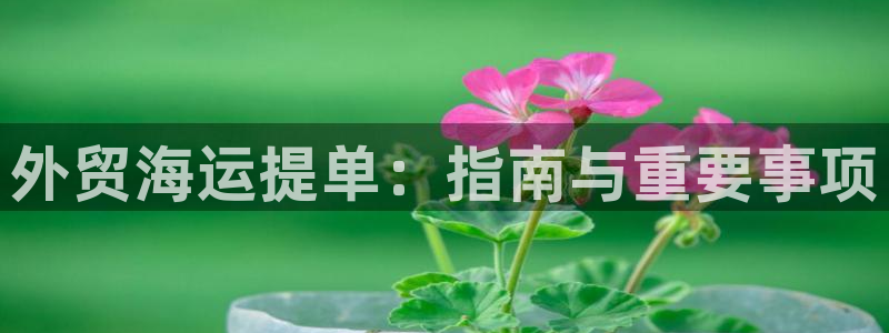 公海赌赌船利息宝是真的吗