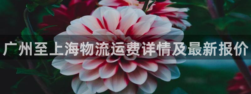 去公海赌博