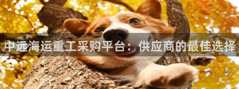 欢迎来到公海.欢迎来到赌船