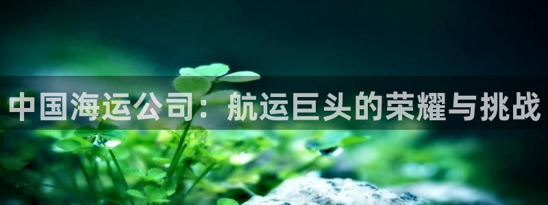 公海赌钱犯法吗