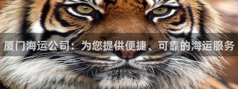 在公海赌博犯法吗