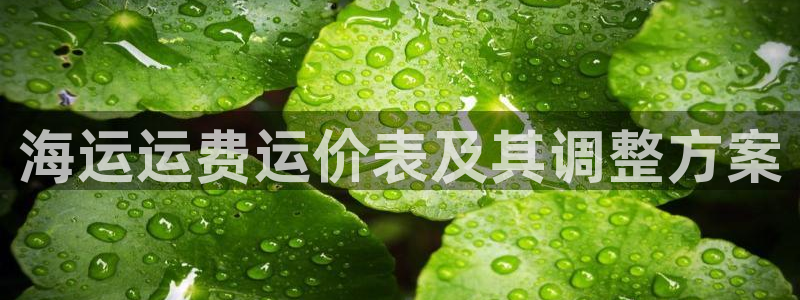 710公海赌赌船有总代理吗