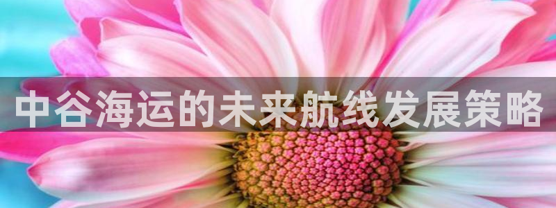 公海赌钱很大吗