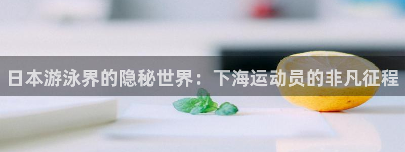 欢迎来到公赌船