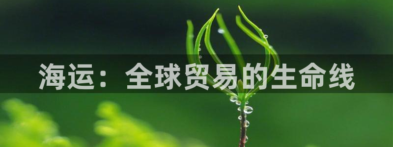 欢迎来到 公园