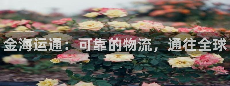 欢迎来到公海710官网
