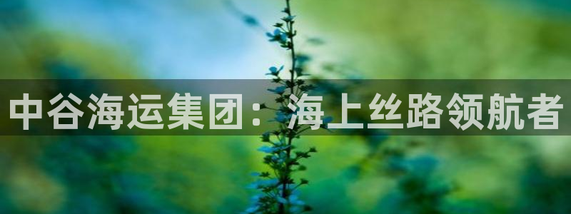 欢迎你来到公海欢迎你来到赌船701