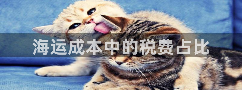 欢迎您来到公海