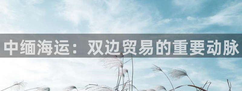 公海赌钱违法吗