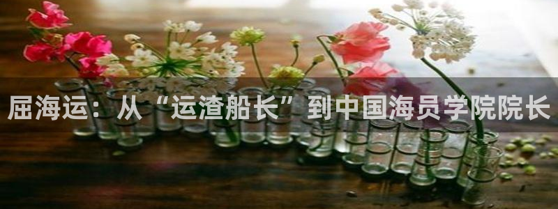 欢迎来到海边